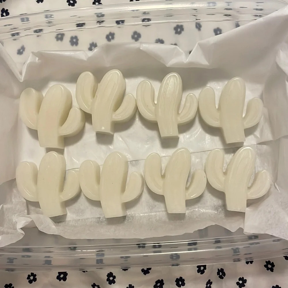 8 Homemade Eucalyptus Mint Cactus Candle Melts